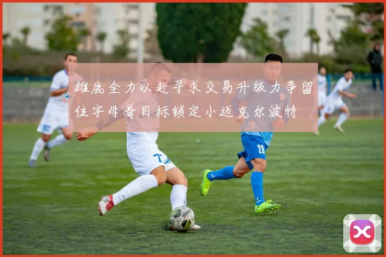 雄鹿全力以赴寻求交易升级力争留住字母哥目标锁定小迈克尔波特