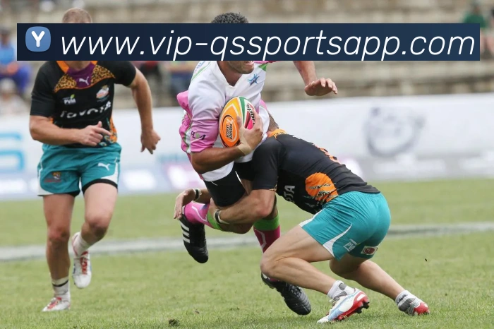 球速体育平台生态图